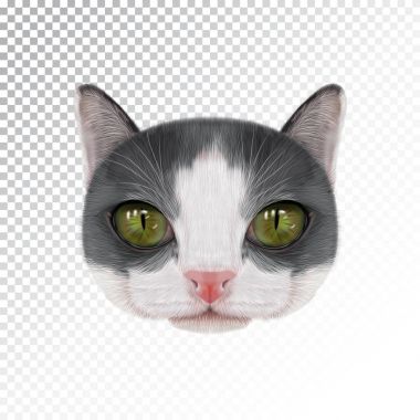 Vektör çizim portresi yerli kedi.