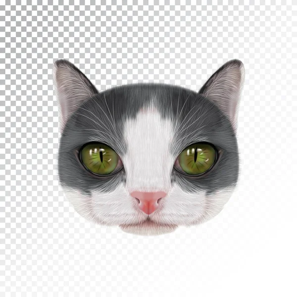 Retrato de ilustración vectorial de gato doméstico . — Archivo Imágenes Vectoriales