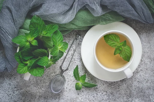 Natural mint tea and fresh mint leaves on a gray background