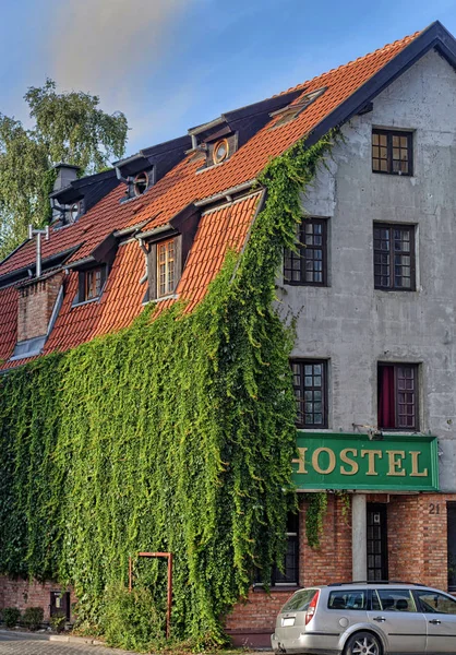 Ivy overgrown wall of hostel — Stock Photo, Image