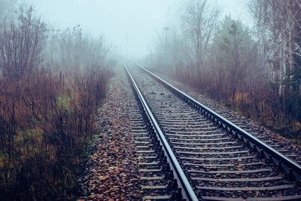 Bahngleise verschwinden im Nebel — Stockfoto