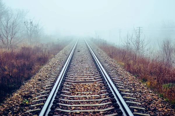 Bahngleise verschwinden im Nebel — Stockfoto