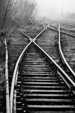Demiryolu Pisti Düğmeleri sisli bir sabah sisli ve çalılıklarda kayboluyor - tek renkli görüntü