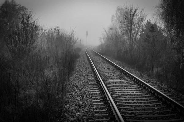 Перспектива Исчезновения Железнодорожного Пути Тумане Туманное Утро Монохромное Изображение — стоковое фото