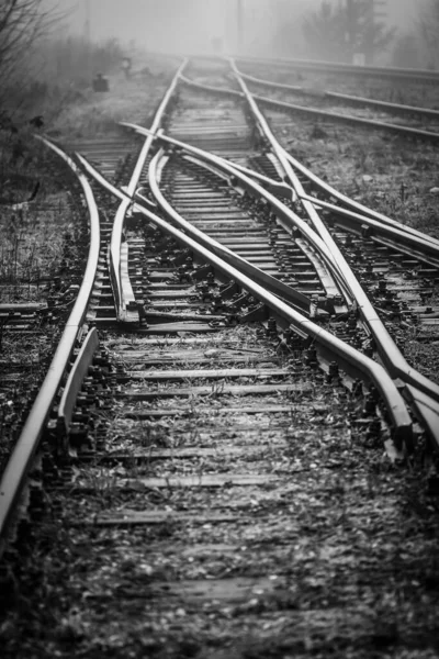 Demiryolu Pisti Düğmeleri sisli bir sabah sisli ve çalılıklarda kayboluyor - tek renkli görüntü