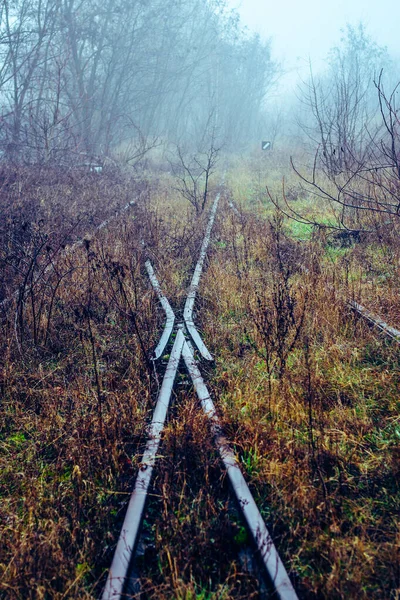 Kullanım Dışı Demiryolu Tamamen Sisli Bir Sabahta Çimen Çalılarla Kaplanmış — Stok fotoğraf