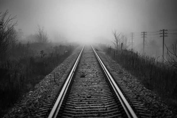 Перспектива Исчезновения Железнодорожного Пути Тумане Туманным Утром Кошкой Вдалеке Пытающейся — стоковое фото