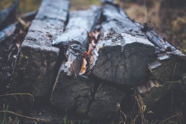 Eski ahşap çürümüş ve köhne demiryolu yatakları demiryolu hattının kenarına yığılmış.