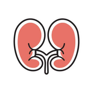 kidneys organs Icon clipart