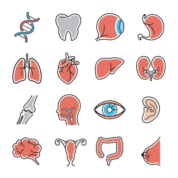 Set di icone per organi umani — Vettoriale Stock