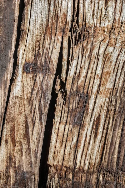 Old Weathered Rotten Cracked Knotted Wood Grunge Texture