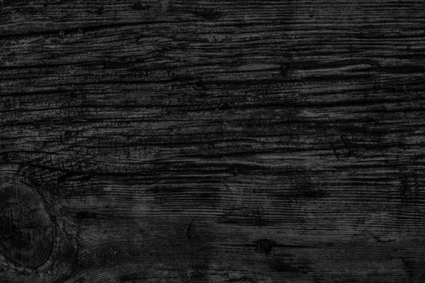 Старое вяленое дерево, пропитанное гнилью, отбелено и обработано древесным углем черной текстуры — стоковое фото