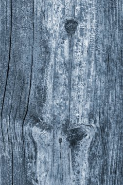 Eski düğümlü ahşap çürümüş kırık ağartılmış ve lekeli toz mavi doku yıpranmış