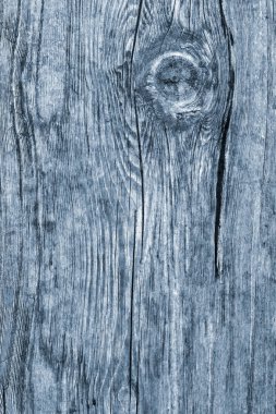 Eski düğümlü ahşap çürümüş kırık ağartılmış ve lekeli toz mavi doku yıpranmış