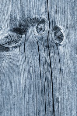 Eski düğümlü ahşap çürümüş kırık ağartılmış ve lekeli toz mavi doku yıpranmış