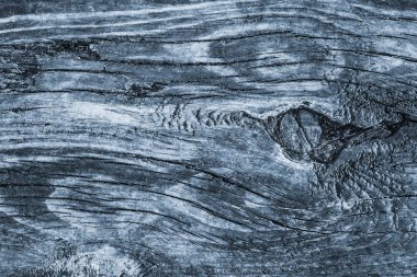 Eski düğümlü ahşap çürümüş kırık ağartılmış ve lekeli toz mavi doku yıpranmış