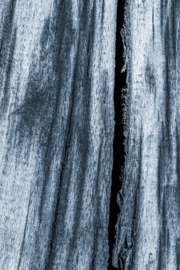 Eski düğümlü ahşap çürümüş kırık ağartılmış ve lekeli toz mavi doku yıpranmış