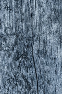 Eski düğümlü ahşap çürümüş kırık ağartılmış ve lekeli toz mavi doku yıpranmış