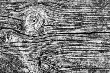 Eski düğümlü ahşap çürümüş kırık ağartılmış ve lekeli gri doku yıpranmış