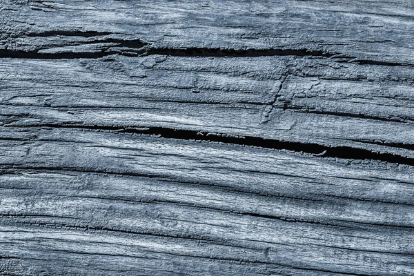 Velha madeira de nós Weathered podre rachado branqueado e manchado pó azul Grunge textura — Fotografia de Stock