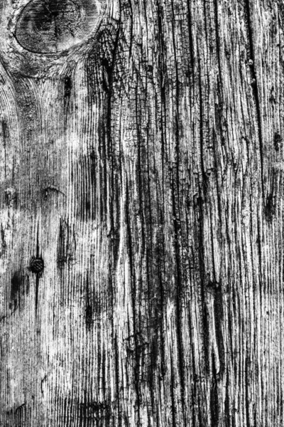 오래 된 매듭이 나무 썩은 금이 표백 하 고 얼룩진 회색 Grunge 텍스처를 풍 화 — 스톡 사진