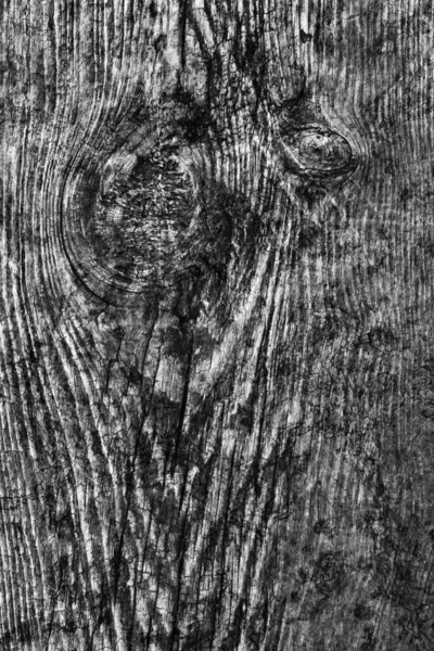 Old Knotted Wood Weathered Rotten Cracked Bleached And Stained Gray Grunge Texture