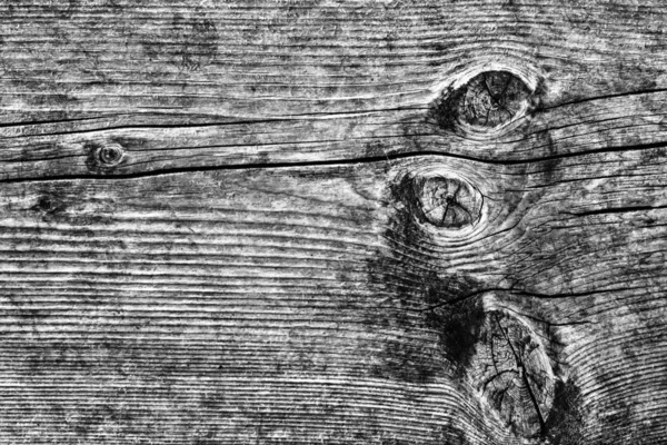 Eski düğümlü ahşap çürümüş kırık ağartılmış ve lekeli gri doku yıpranmış