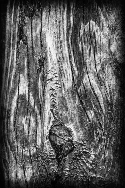Régi csomózott fa, viharvert rohadt fehérített repedt és foltos, sötét szürke Vignetted Grunge textúra — Stock Fotó