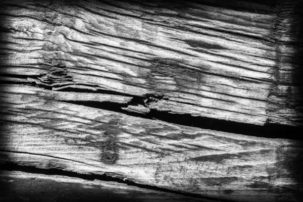 Старое завязанное дерево гнилое отбеленное и темно-серое отбеленное. — стоковое фото