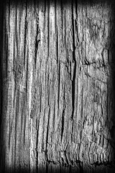 Vieja madera anudada envejecida podrida agrietada blanqueada y manchada gris oscuro viñeta textura grunge —  Fotos de Stock
