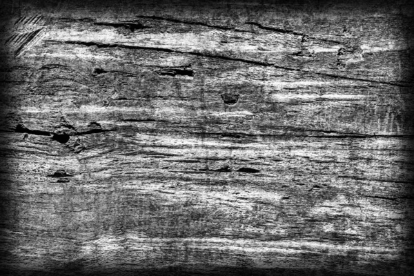 Старое завязанное дерево гнилое отбеленное и темно-серое отбеленное. — стоковое фото