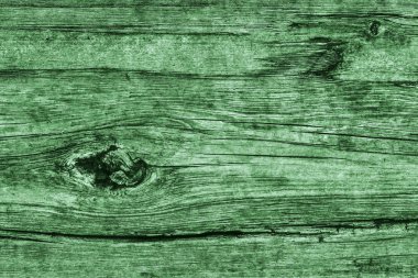 Eski düğümlü ahşap çürümüş kırık ağartılmış ve lekeli Kelly yeşil doku yıpranmış