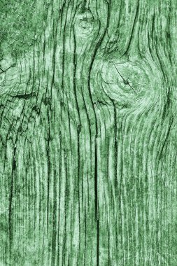 Eski düğümlü ahşap çürümüş kırık ağartılmış ve lekeli Kelly yeşil doku yıpranmış