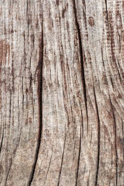 Düğümlü ahşap rustik kaba doku çürümüş yıpranmış eski kırık