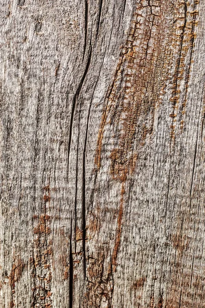 Alte verwitterte morsche geknotete Holz rustikal grobe Grunge-Textur — Stockfoto