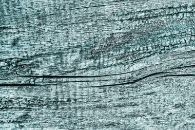 Ahşap rustik Floorboard kaba tek renkli camgöbeği Grunge doku çürümüş yıpranmış eski kırık