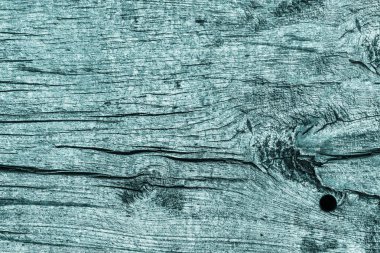 Düğümlü ahşap rustik kaba tek renkli camgöbeği Grunge doku çürümüş yıpranmış eski kırık