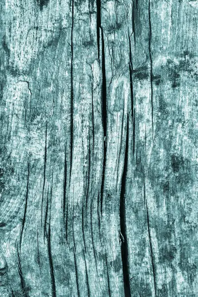 Old Weathered Rotten Cracked Knotted Wood Rustic Coarse Monochrome Cyan Grunge Texture — Stock Photo, Image