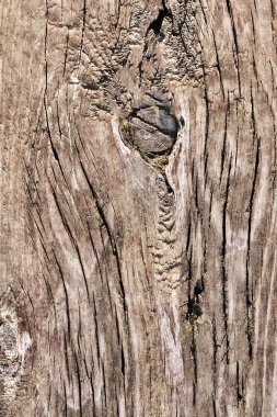 Düğümlü kaba ahşap doku çürümüş yıpranmış eski kırık