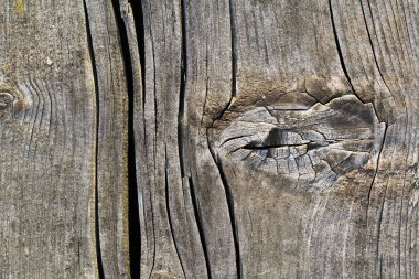 Düğümlü kaba ahşap doku çürümüş yıpranmış eski kırık