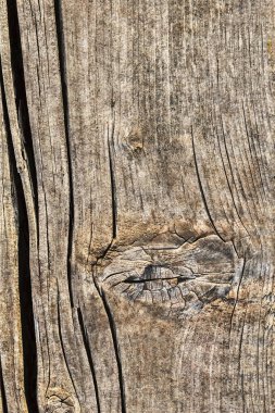 Düğümlü kaba ahşap doku çürümüş yıpranmış eski kırık