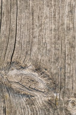 Düğümlü kaba ahşap doku çürümüş yıpranmış eski kırık
