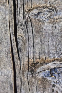 Düğümlü kaba ahşap doku çürümüş yıpranmış eski kırık