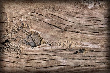 Eski yıpranmış çürük kırık düğümlü kaba ahşap doku Vignetted