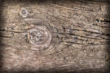 Eski yıpranmış çürük kırık düğümlü kaba ahşap doku Vignetted
