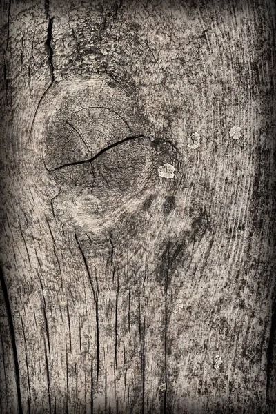 Régi viharvert korhadt repedt csomózott durva fát Vignetted Grunge textúra — Stock Fotó