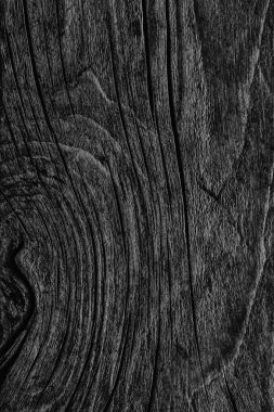 Düğümlü kaba ahşap siyah Grunge doku çürümüş yıpranmış eski kırık
