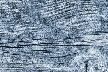 Düğümlü kaba ahşap toz mavi doku çürümüş yıpranmış eski kırık