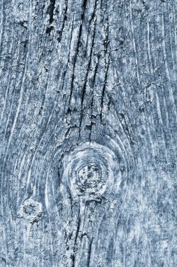 Düğümlü kaba ahşap toz mavi doku çürümüş yıpranmış eski kırık