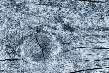 Düğümlü kaba ahşap toz mavi doku çürümüş yıpranmış eski kırık